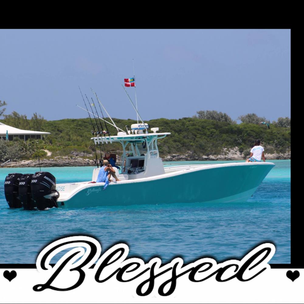 Meet your Posher, Iliana